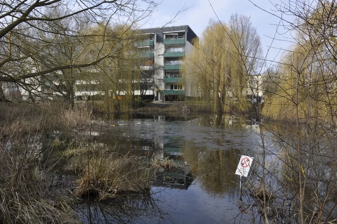 05 DSC3142  (Bild vergr&ouml;&szlig;ern)