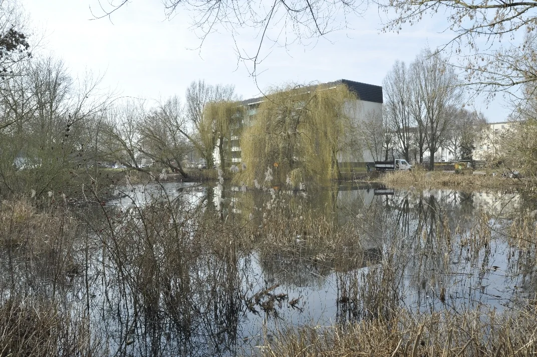 06 DSC1579  (Bild vergr&ouml;&szlig;ern)