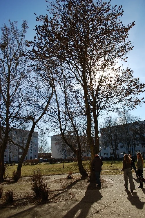 07 DSC 1562  (Bild vergr&ouml;&szlig;ern)