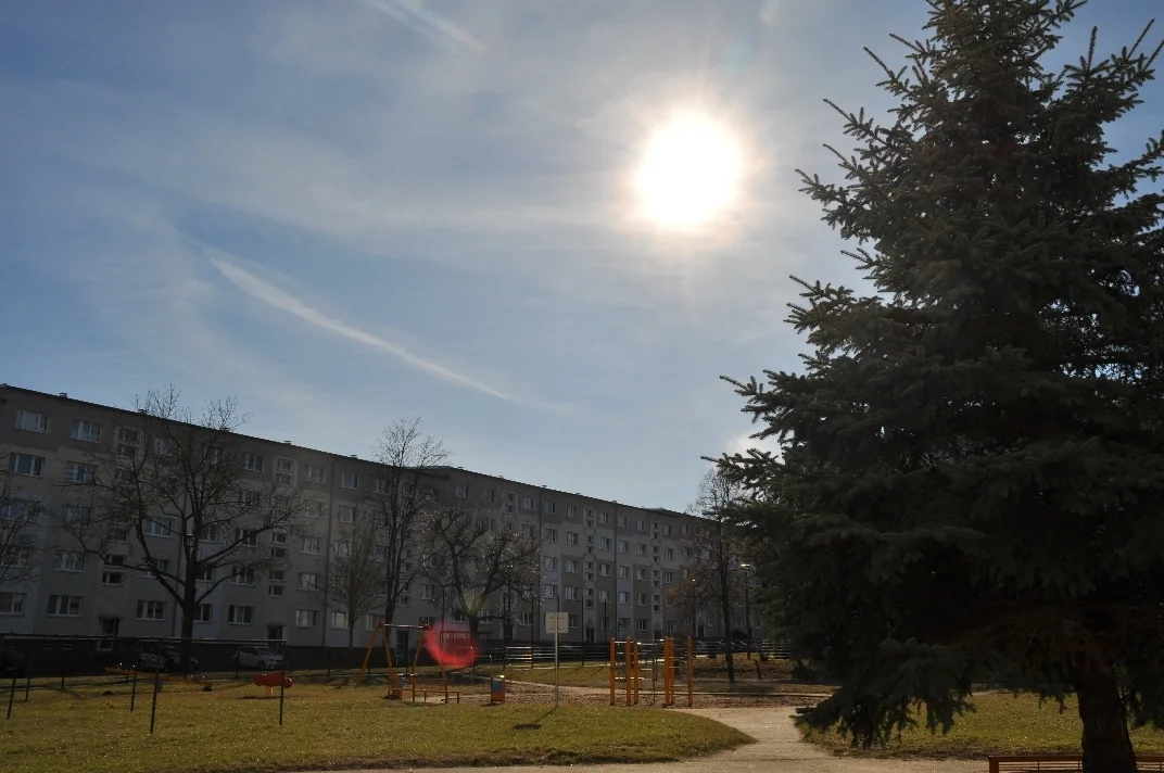 08 DSC 2447  (Bild vergr&ouml;&szlig;ern)