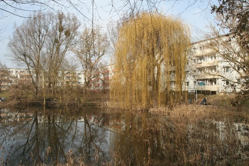 08 IMG 7973  (Bild vergr&ouml;&szlig;ern)
