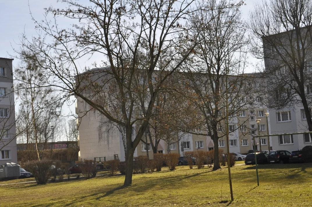 09 DSC5698  (Bild vergr&ouml;&szlig;ern)