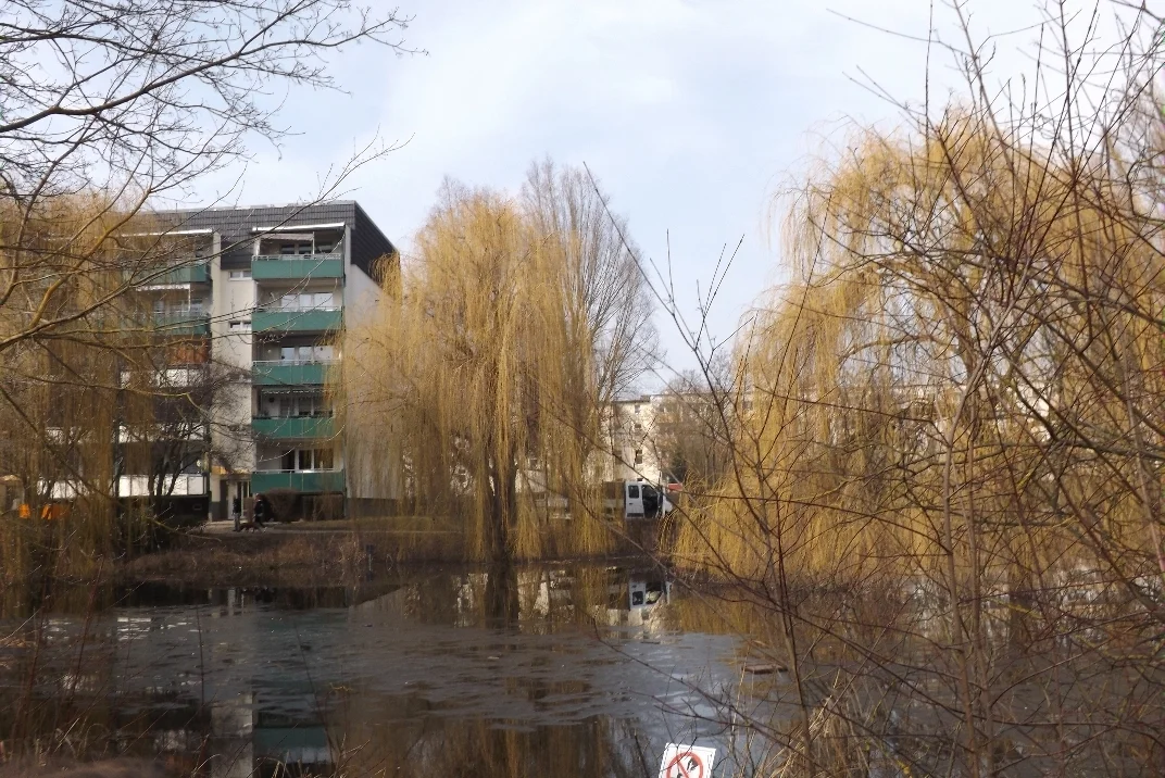 10 DSCF3039  (Bild vergr&ouml;&szlig;ern)