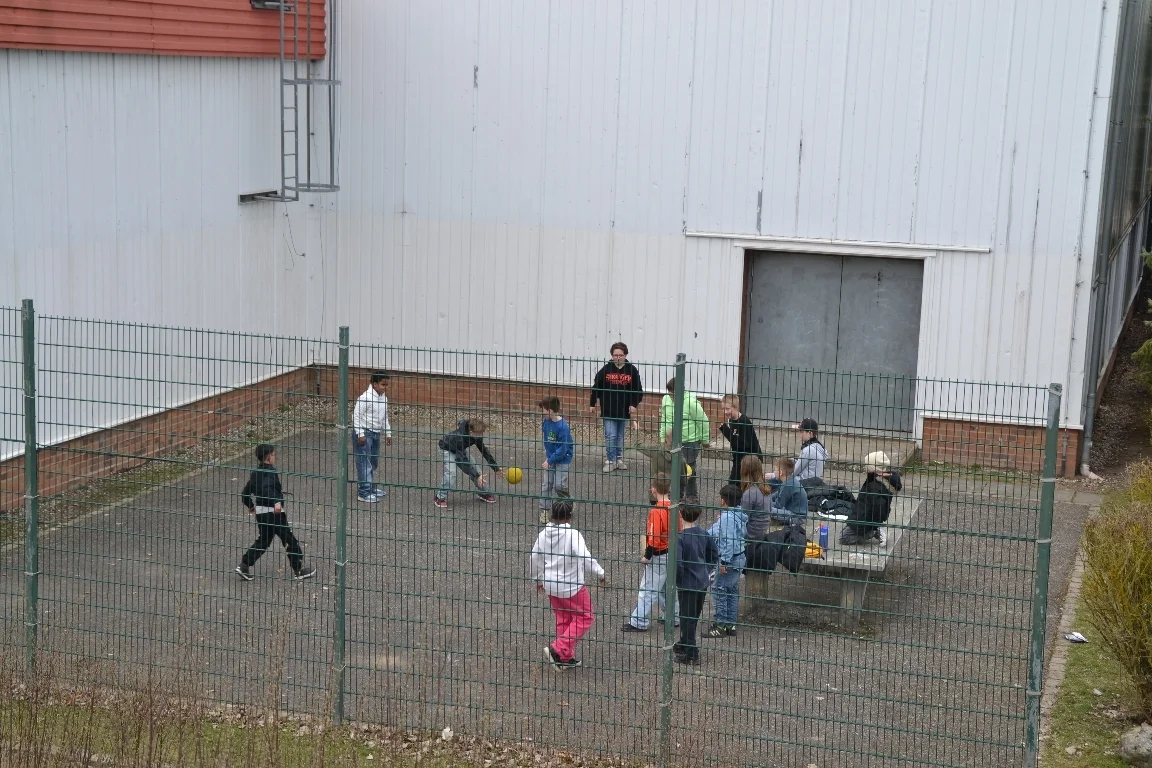 DSC 2766  (Bild vergr&ouml;&szlig;ern)