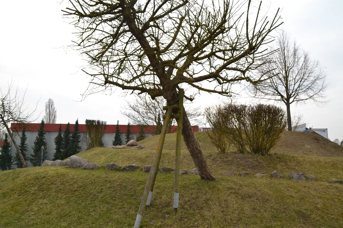 DSC 2777  (Bild vergr&ouml;&szlig;ern)