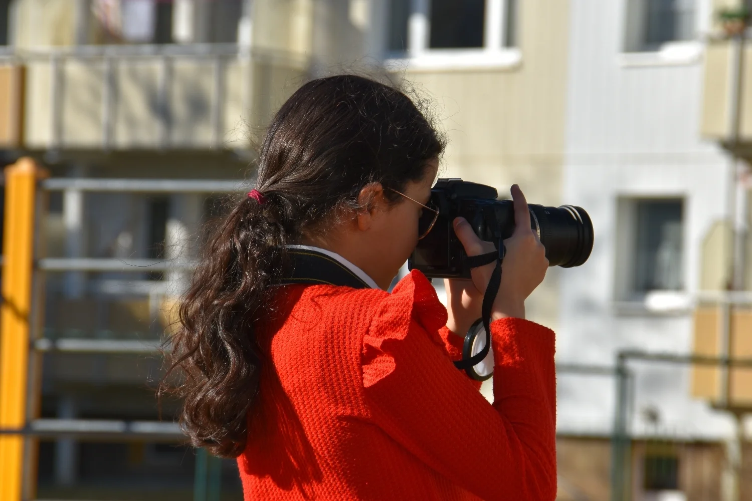 DSC 3951  (Bild vergr&ouml;&szlig;ern)