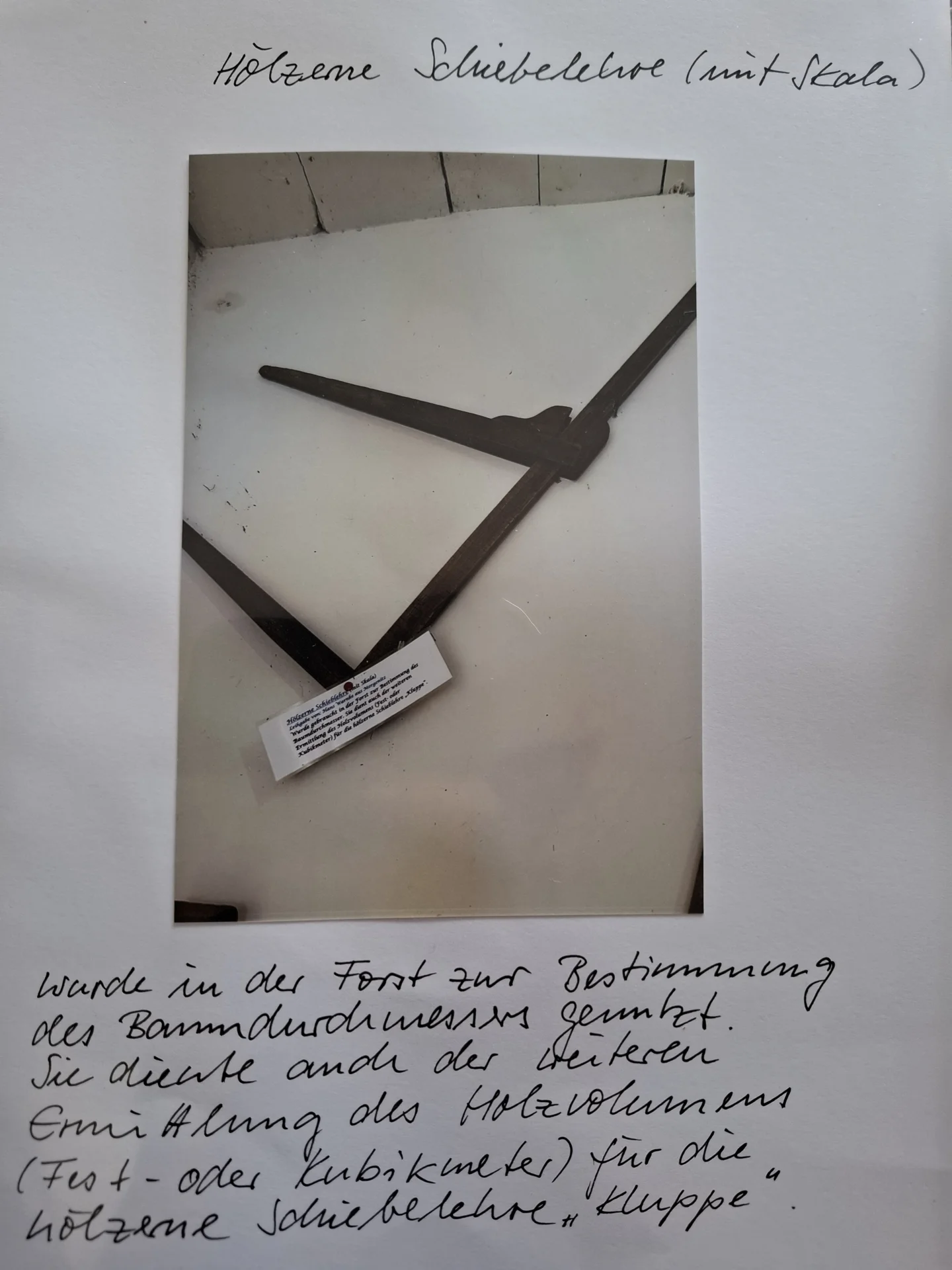 Zur Galerie: Forstwirtschaft