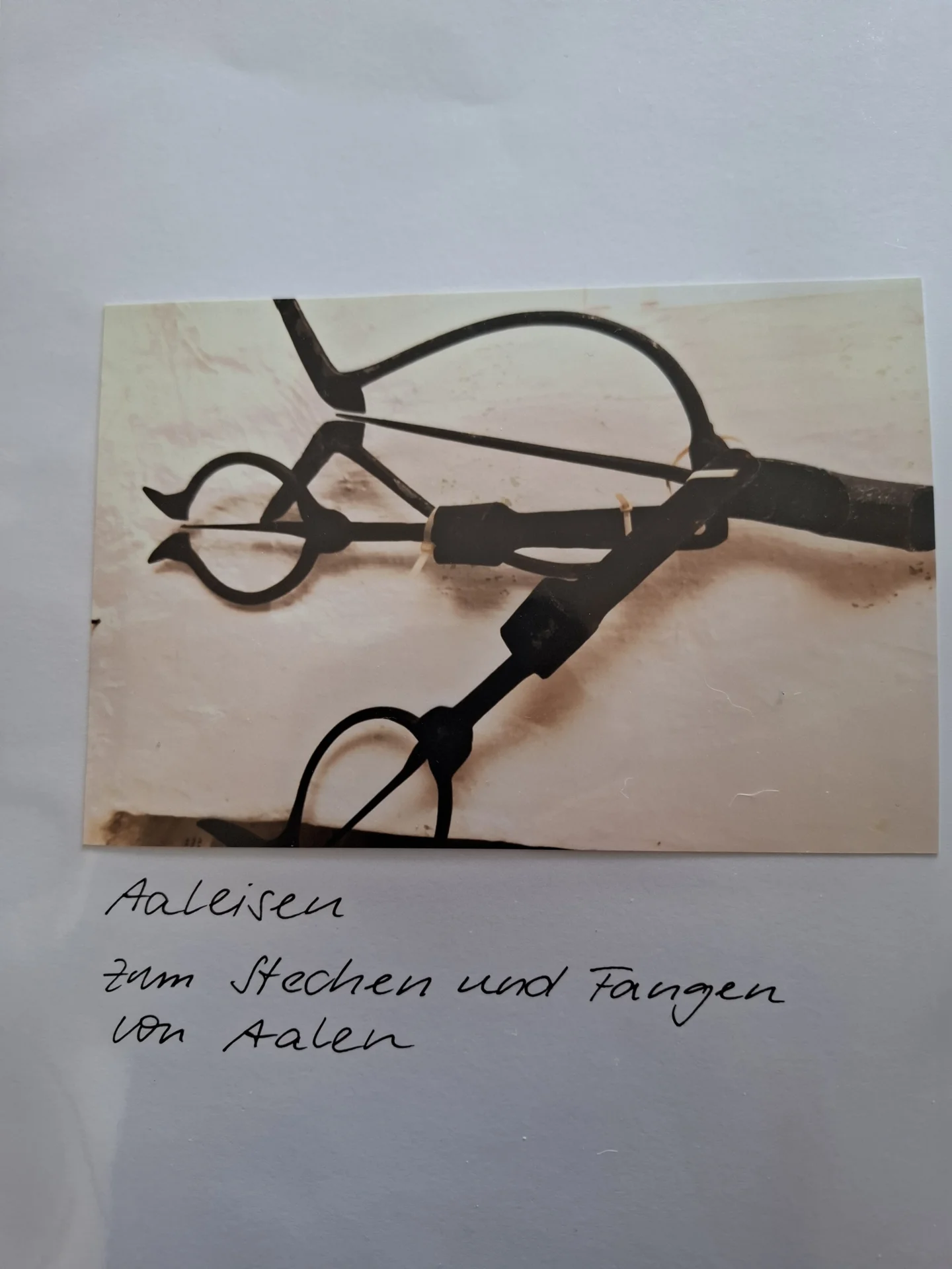 Foto der Galerie: Fischerei