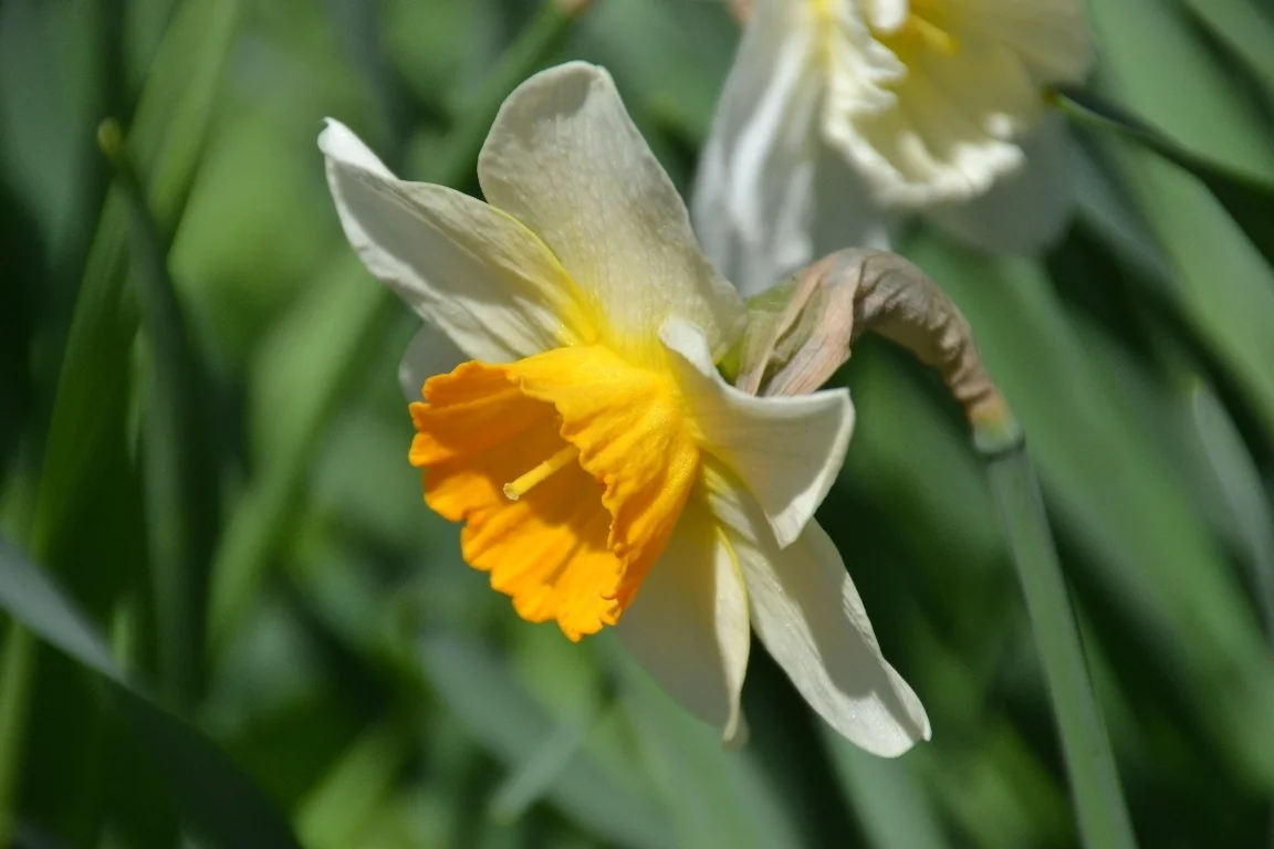 01 DSC 5402  (Bild vergr&ouml;&szlig;ern)