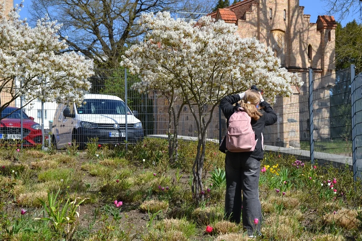 DSC 3044  (Bild vergr&ouml;&szlig;ern)