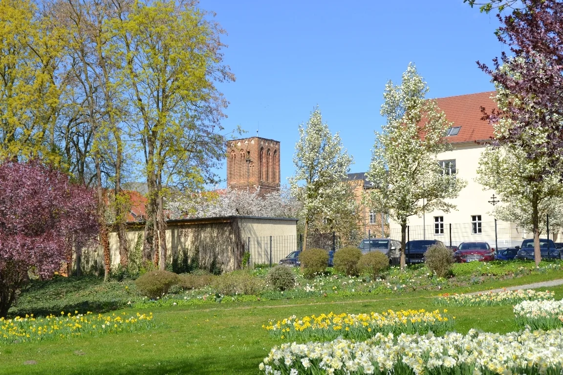 DSC 3050  (Bild vergr&ouml;&szlig;ern)