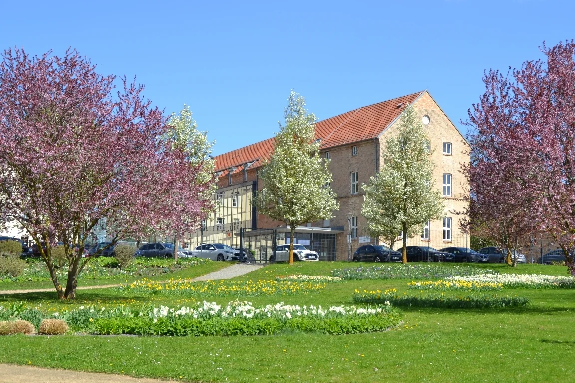 DSC 3055  (Bild vergr&ouml;&szlig;ern)