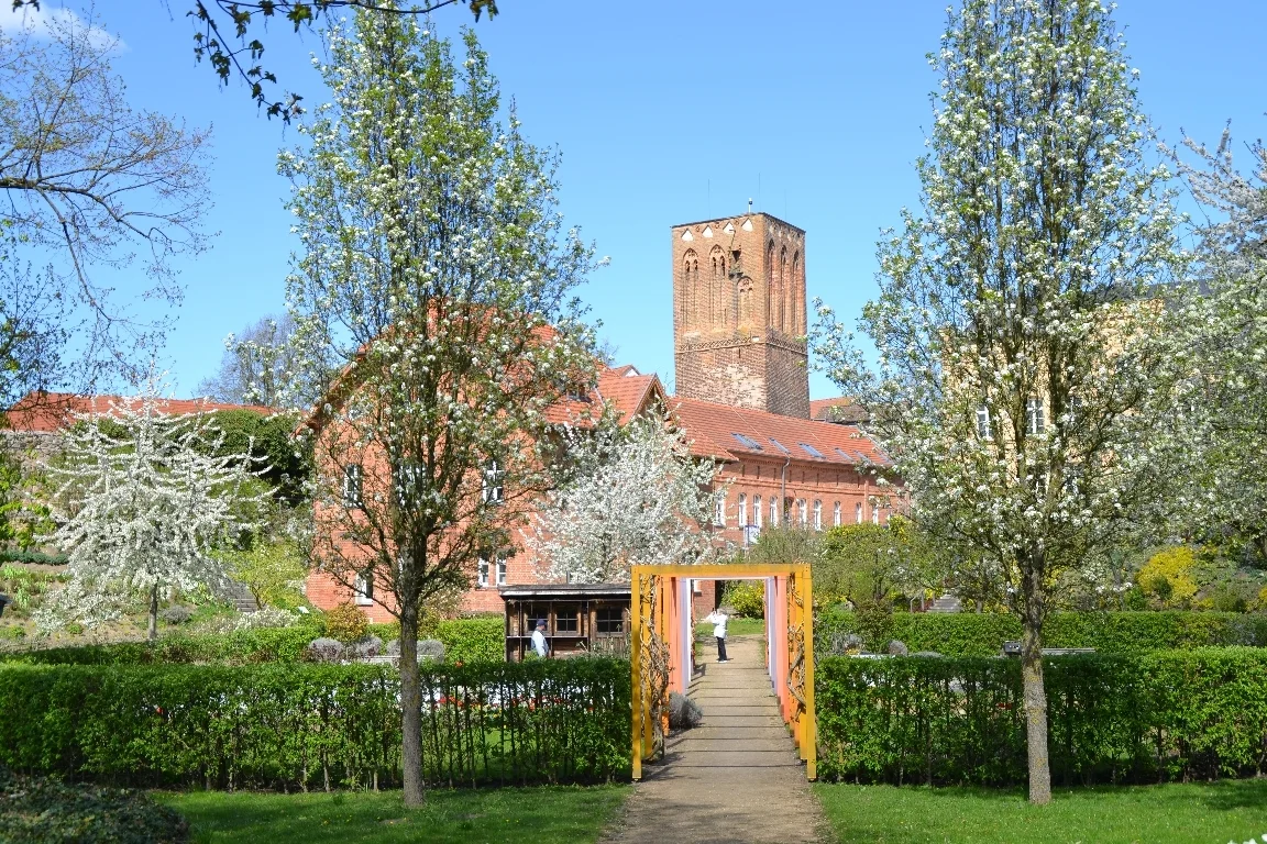 DSC 3063  (Bild vergr&ouml;&szlig;ern)