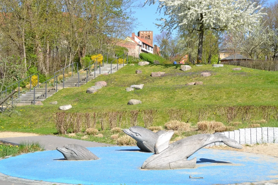 DSC 3098  (Bild vergr&ouml;&szlig;ern)