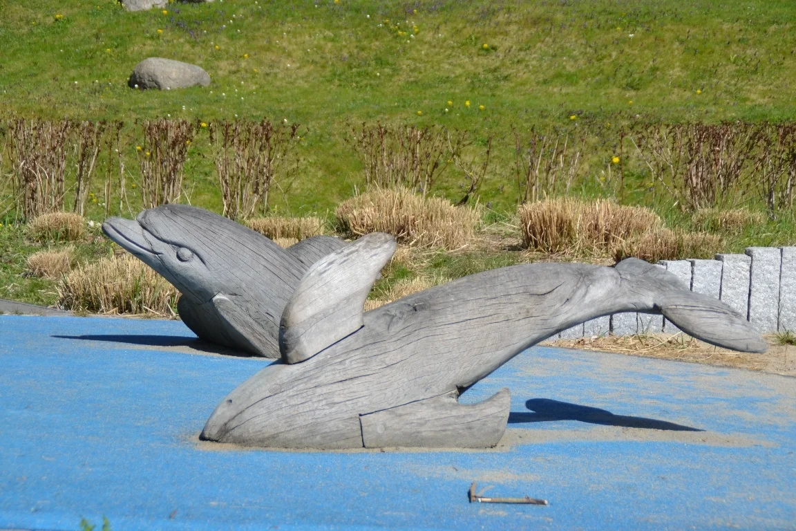 DSC 3101  (Bild vergr&ouml;&szlig;ern)