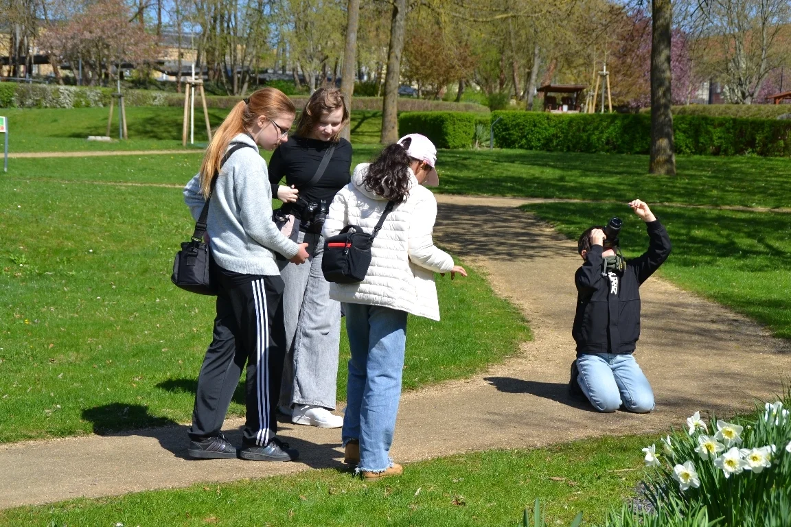 DSC 3128  (Bild vergr&ouml;&szlig;ern)