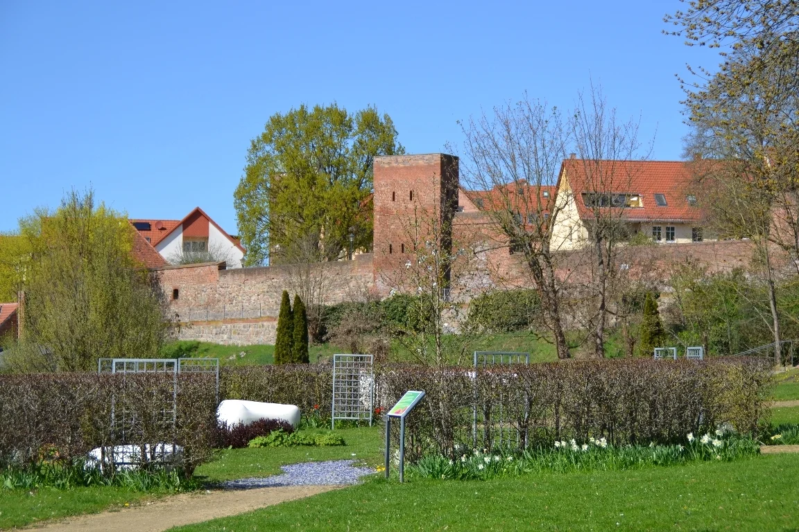 DSC 3129  (Bild vergr&ouml;&szlig;ern)
