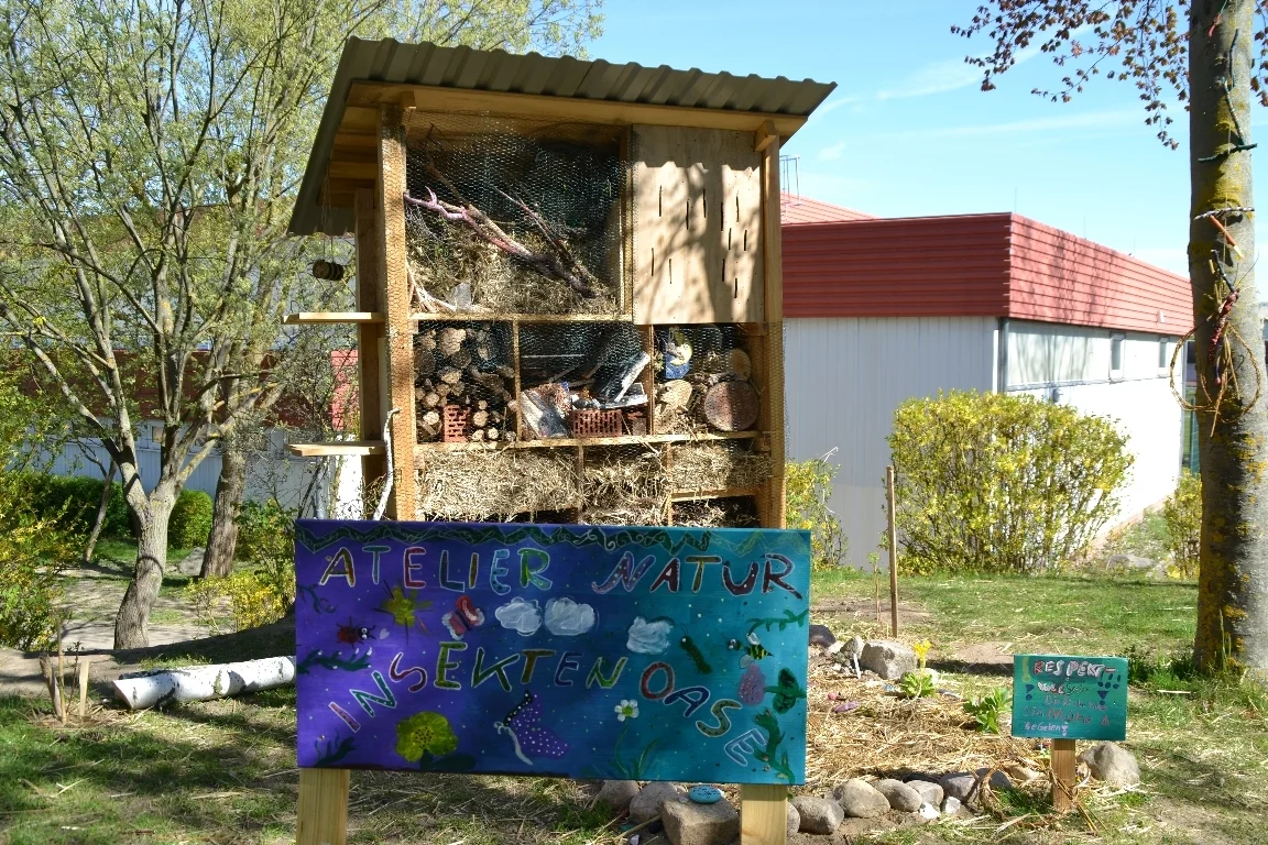 DSC 3166  (Bild vergr&ouml;&szlig;ern)