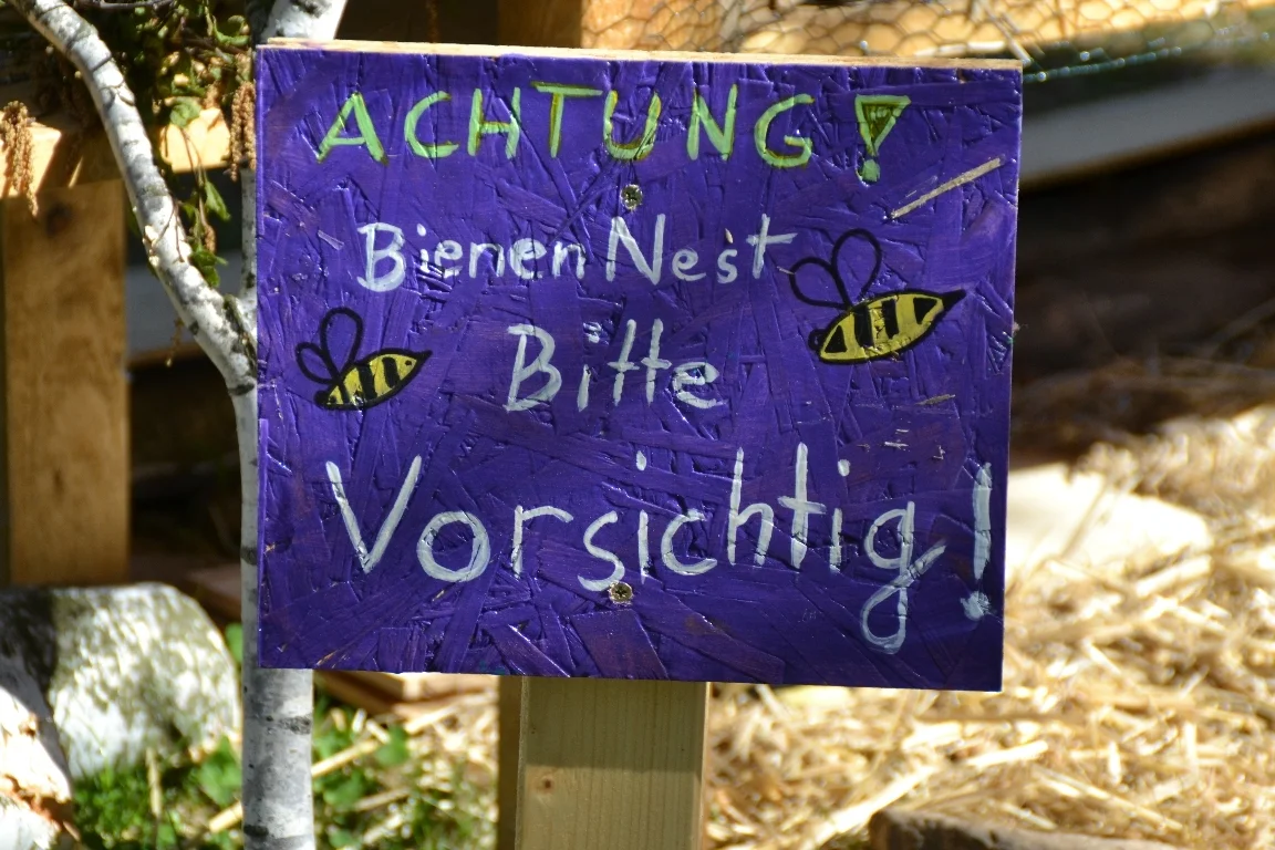 DSC 3167  (Bild vergr&ouml;&szlig;ern)