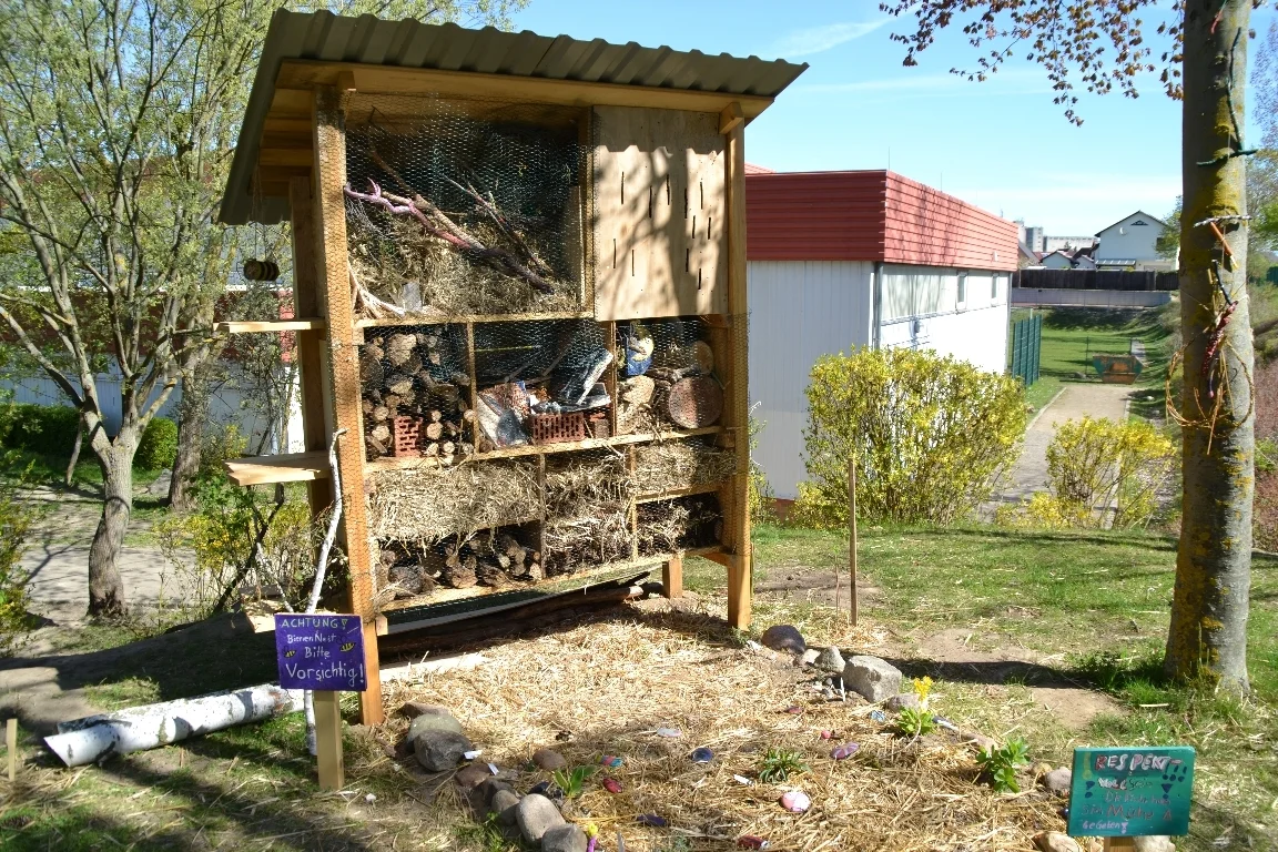 DSC 3168  (Bild vergr&ouml;&szlig;ern)