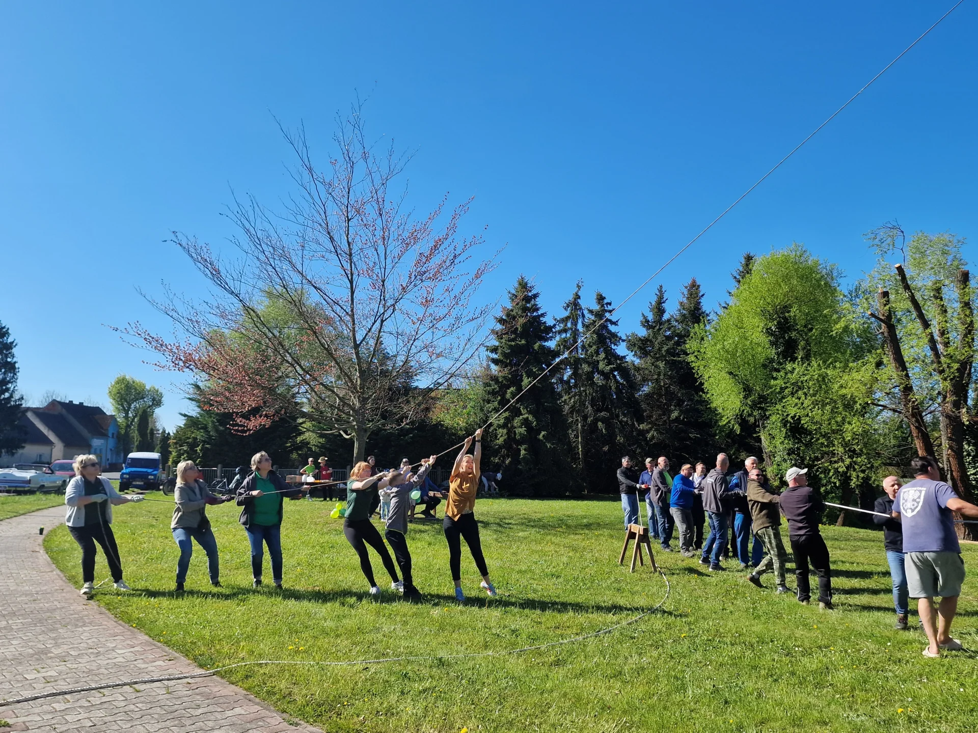 Foto der Galerie: Maibaumstellen 2026