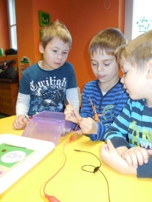 Bild:
