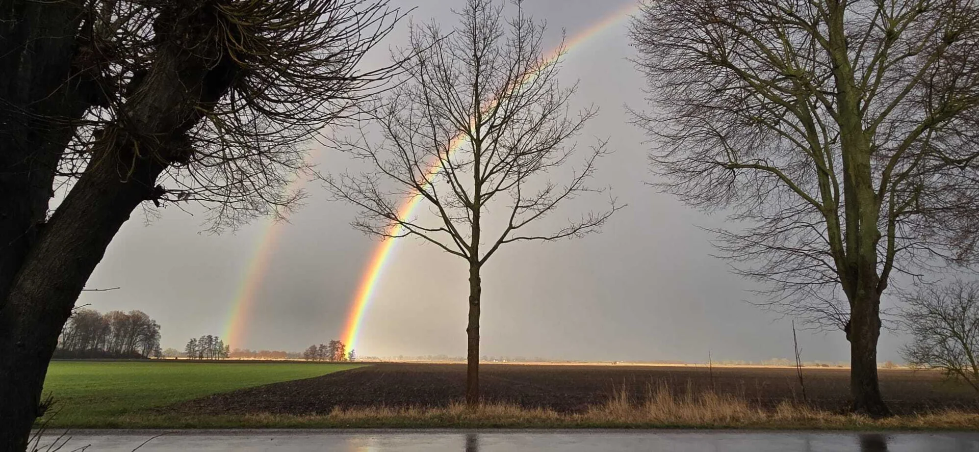Bild: 2 Regenbogen