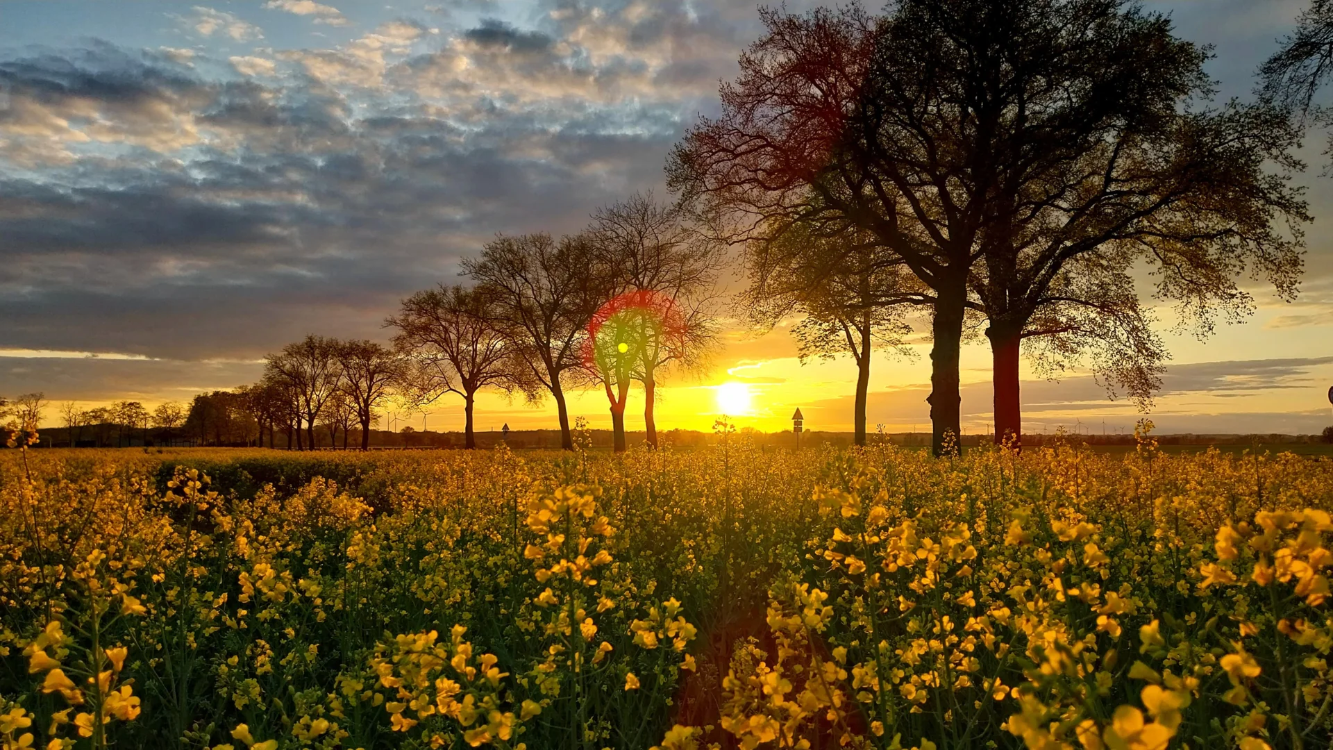 Bild: Abendstimmung