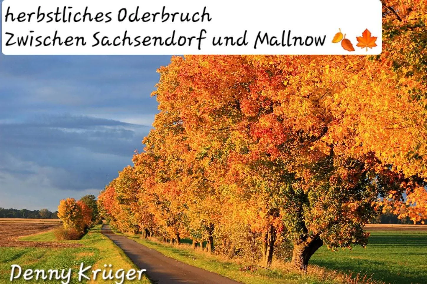 Bild: Herbst