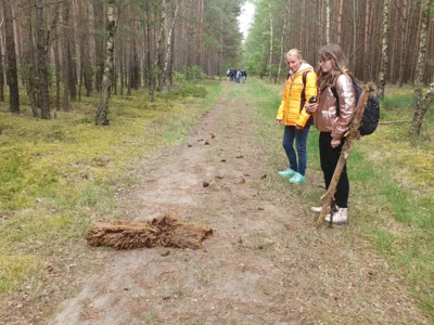 Vorschaubild: rätselhaftes Fell, mitten im Wald