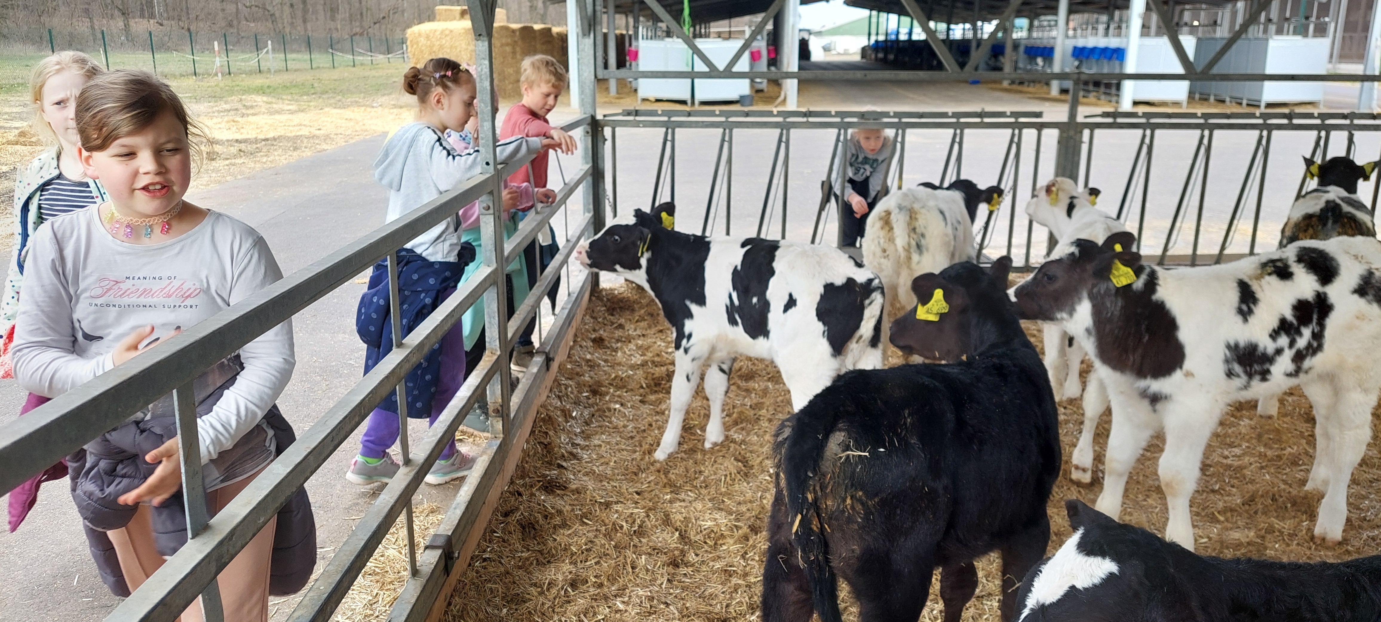 Bild: Besuch der Milchviehanlage 2025