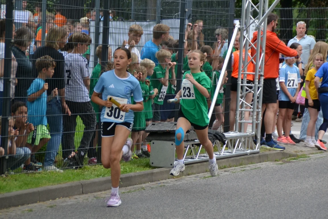 DSC 3299  (Bild vergr&ouml;&szlig;ern)