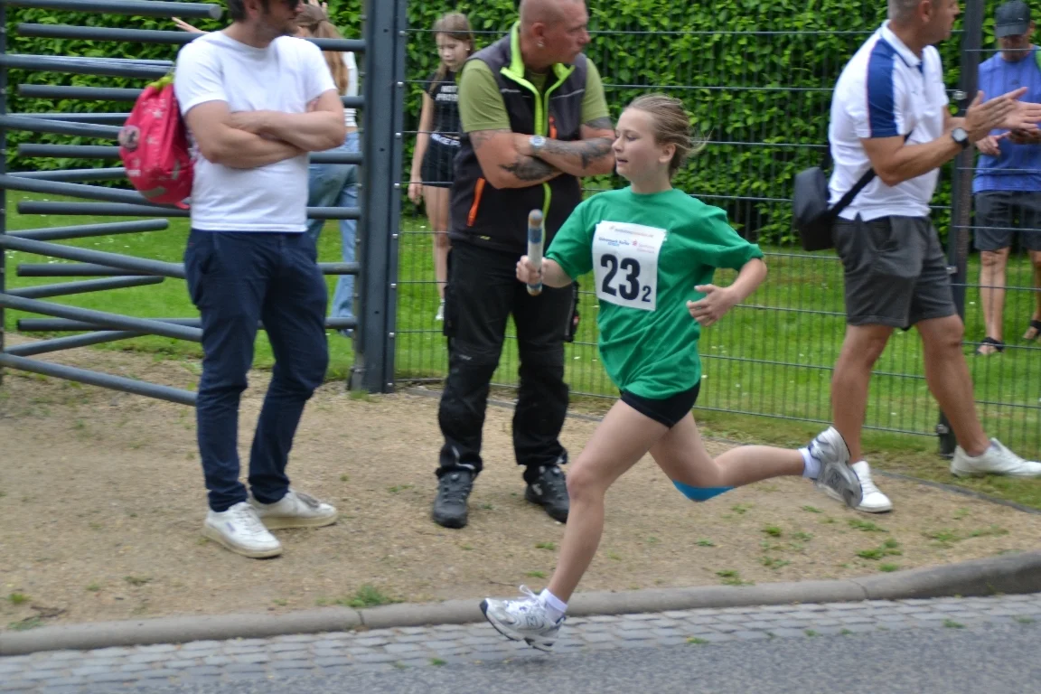 DSC 3301  (Bild vergr&ouml;&szlig;ern)