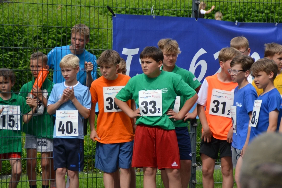DSC 3342  (Bild vergr&ouml;&szlig;ern)