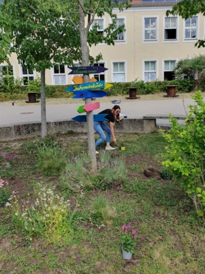 Vorschaubild: auch das Rondell wird bepflanzt