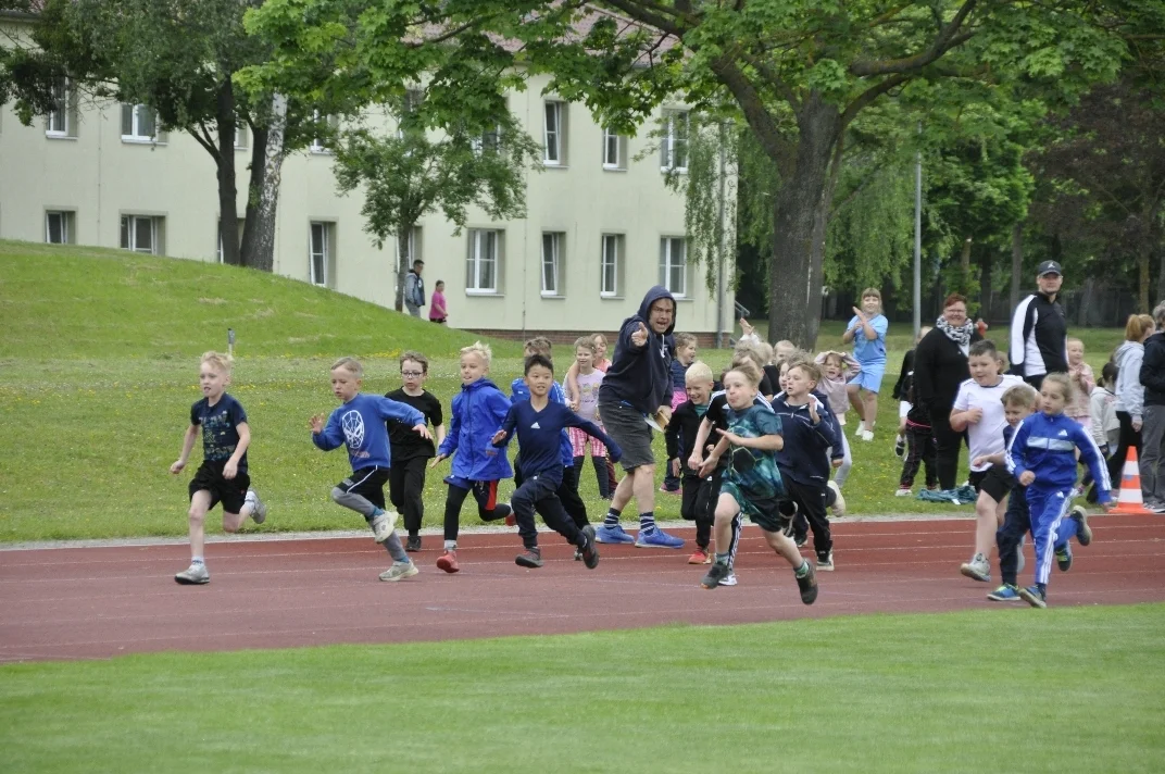 DSC2173  (Bild vergr&ouml;&szlig;ern)