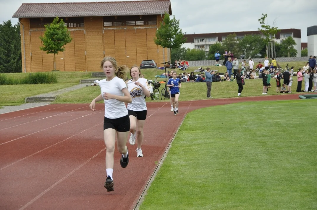  DSC3022  (Bild vergr&ouml;&szlig;ern)