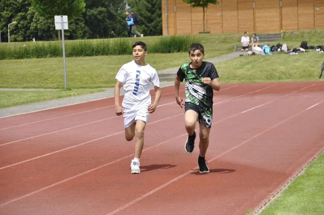  DSC3166  (Bild vergr&ouml;&szlig;ern)