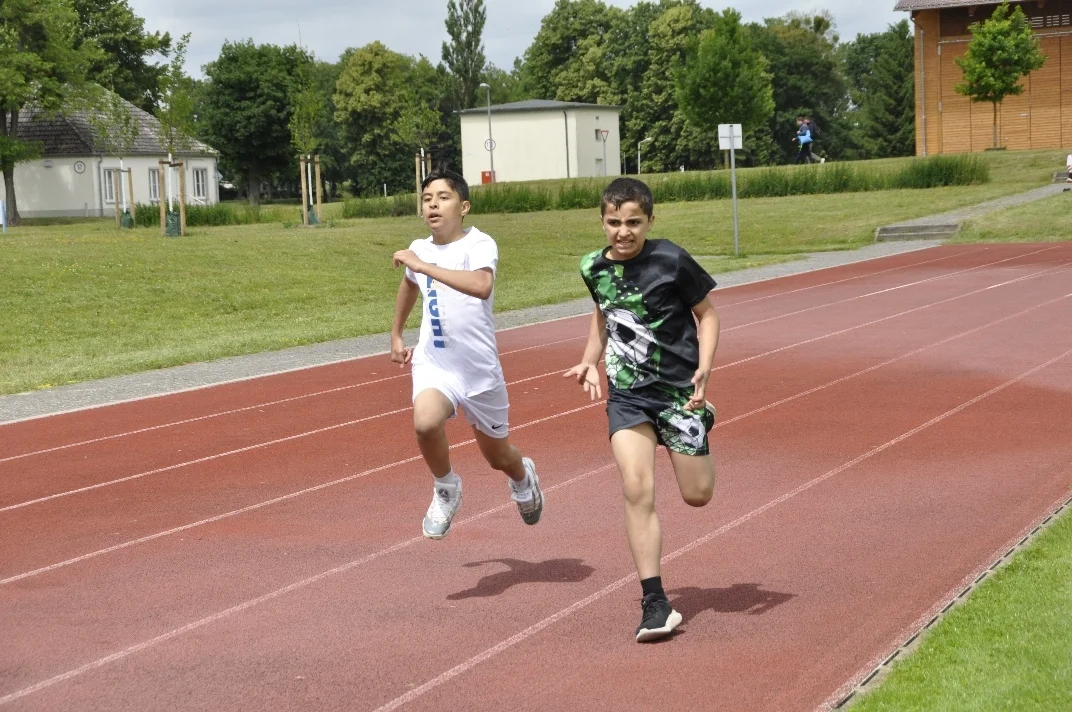  DSC3169  (Bild vergr&ouml;&szlig;ern)