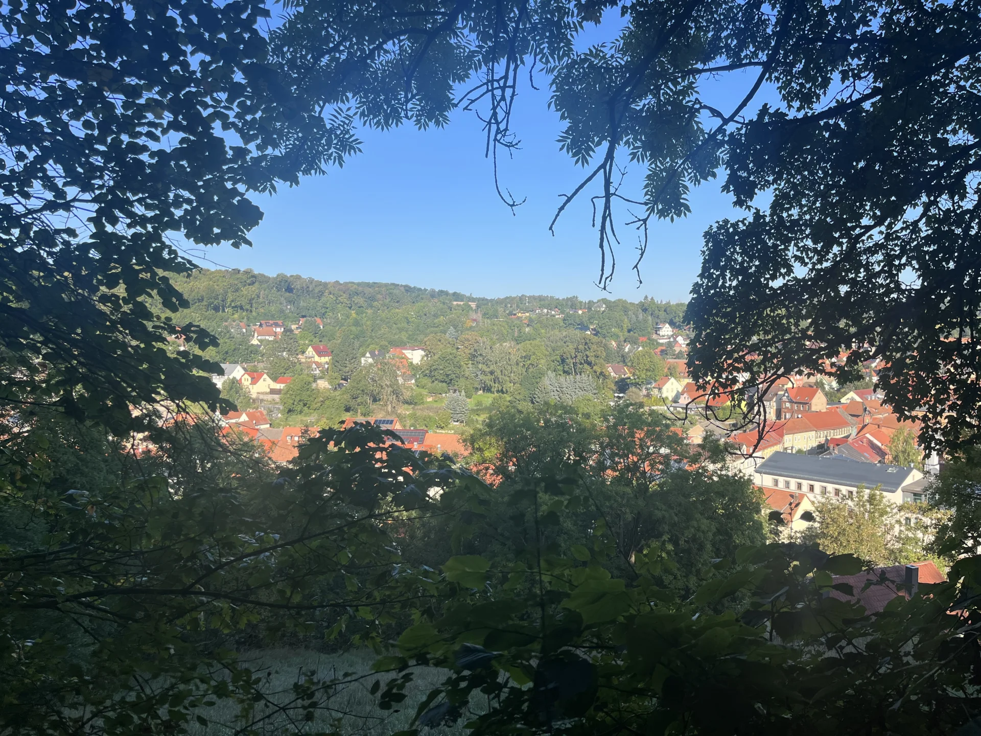 Foto der Galerie: Kranichfeld und Umgebung