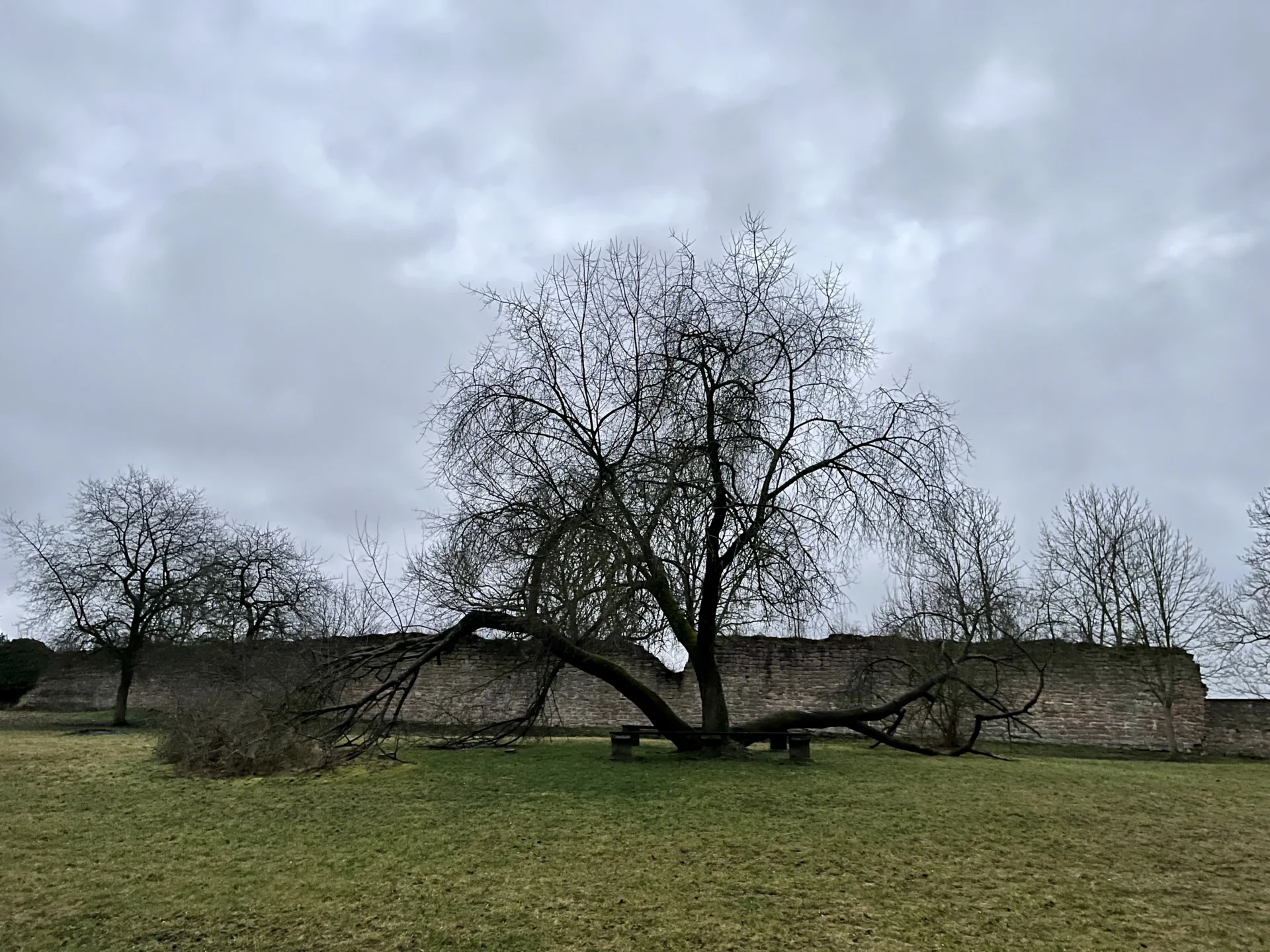 Foto der Galerie: Kranichfeld und Umgebung