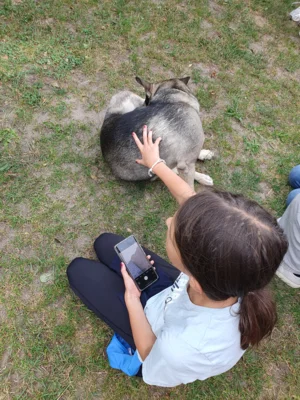 Vorschaubild: einer von 5 Hunden