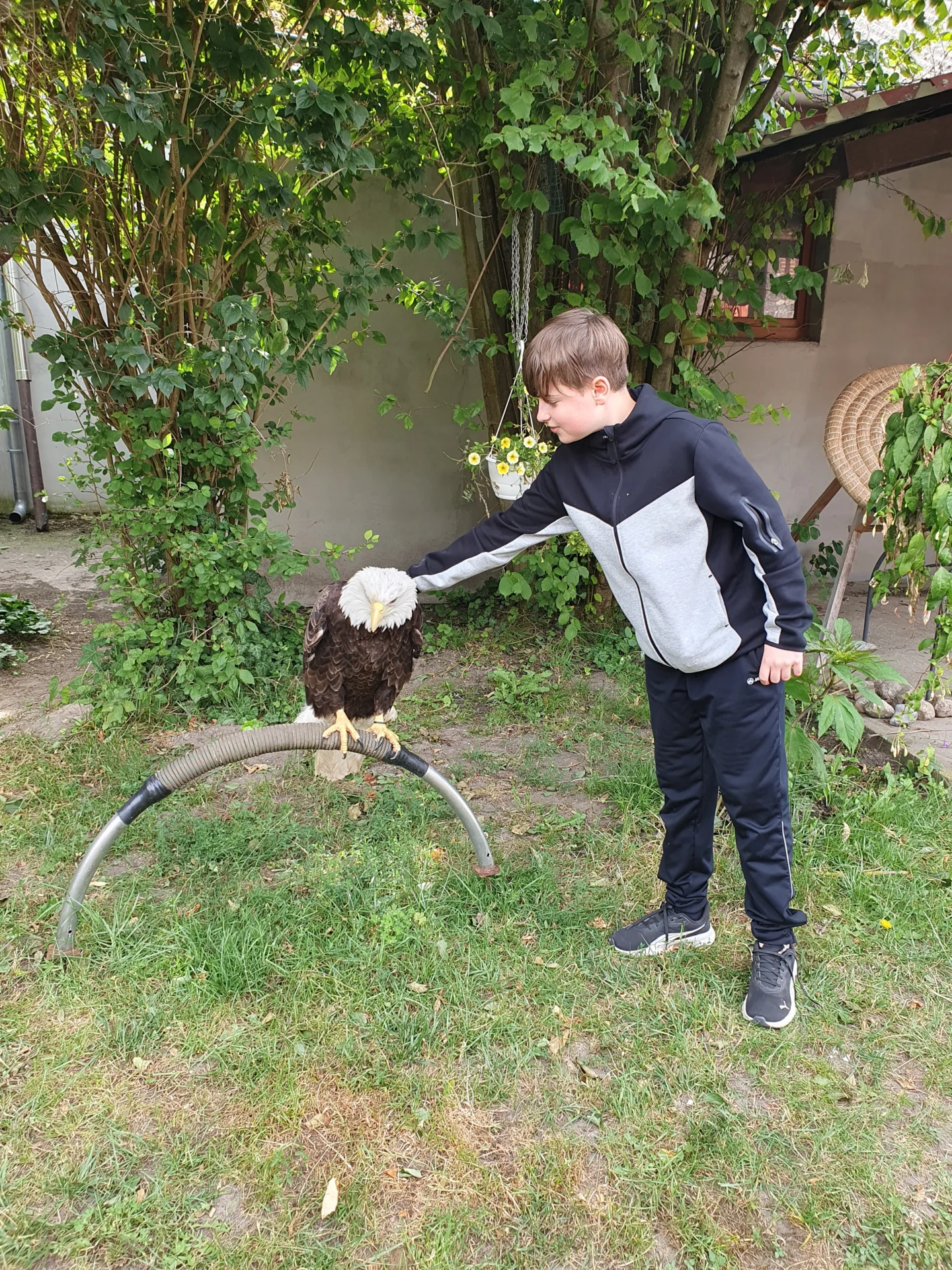 Bild: einen Steinadler zu streicheln war eine einmalige Gelegenheit
