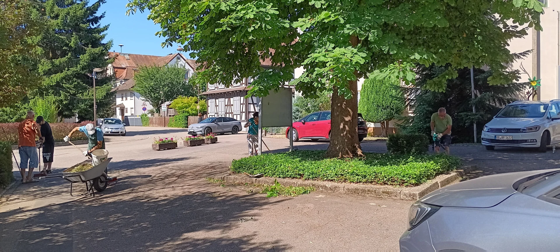Bild11  (Bild vergr&ouml;&szlig;ern)