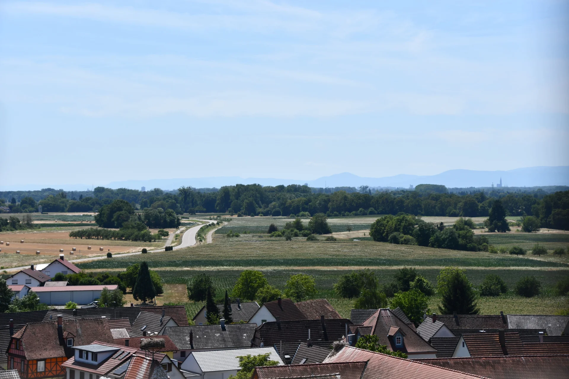 Bild176  (Bild vergr&ouml;&szlig;ern)