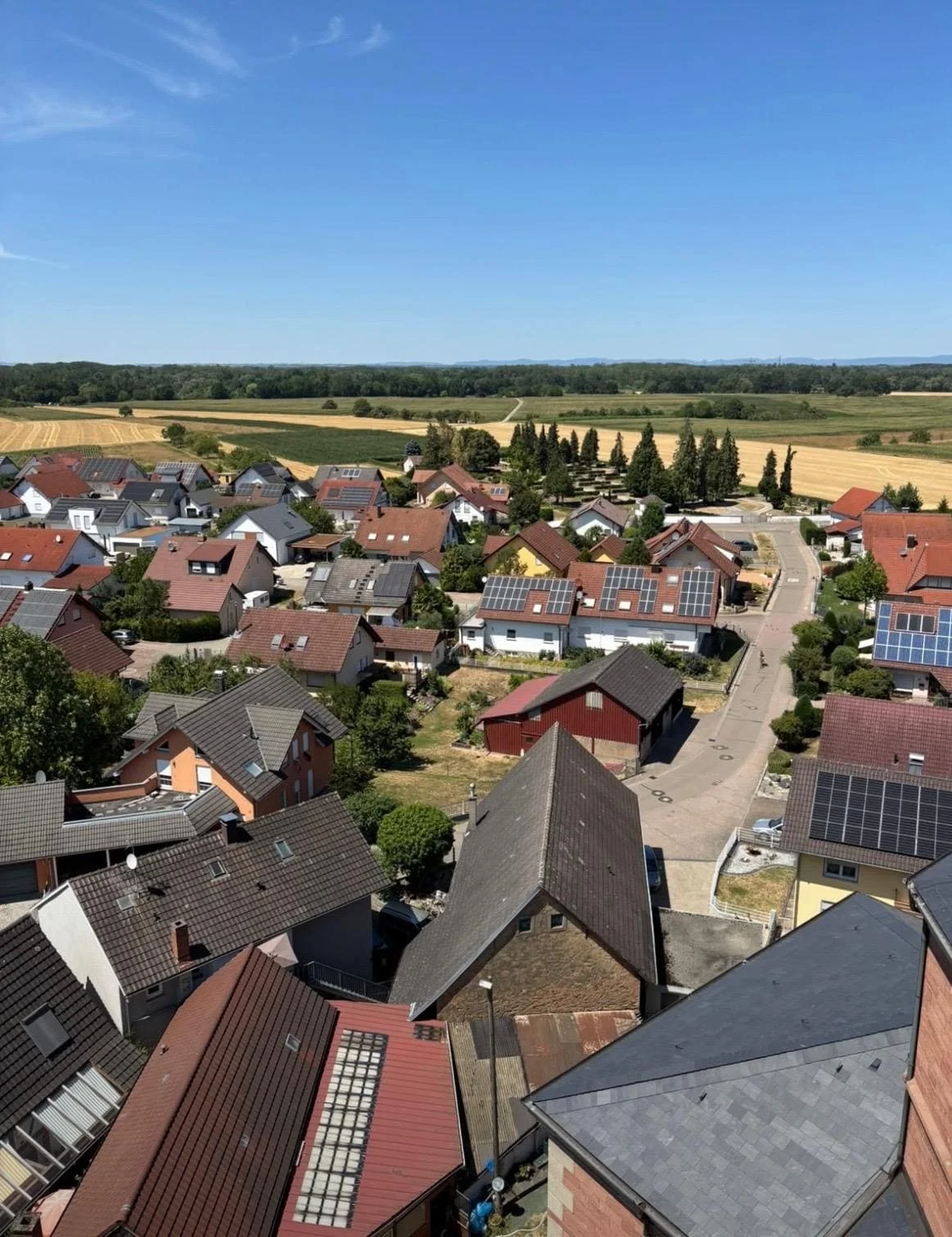 Bild177  (Bild vergr&ouml;&szlig;ern)