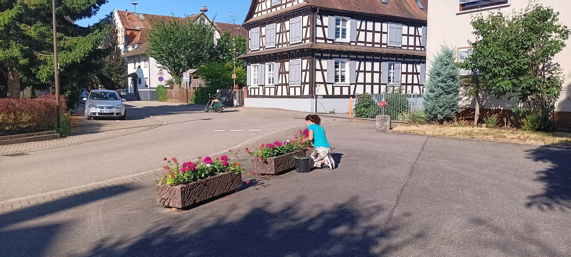 Bild3  (Bild vergr&ouml;&szlig;ern)