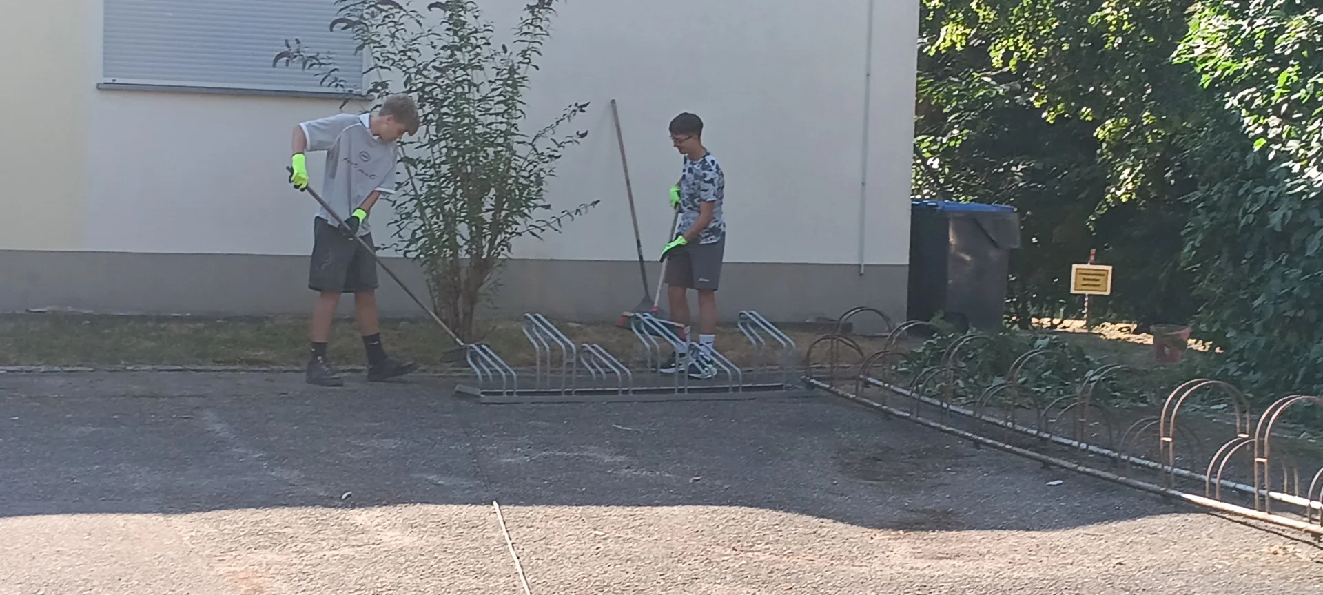 Bild5  (Bild vergr&ouml;&szlig;ern)