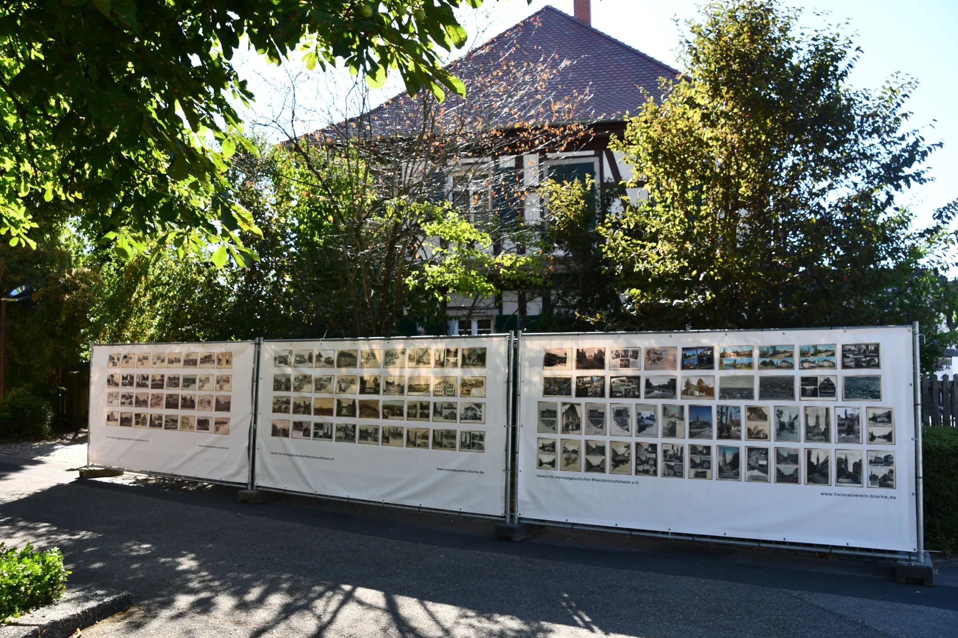 Bild6  (Bild vergr&ouml;&szlig;ern)