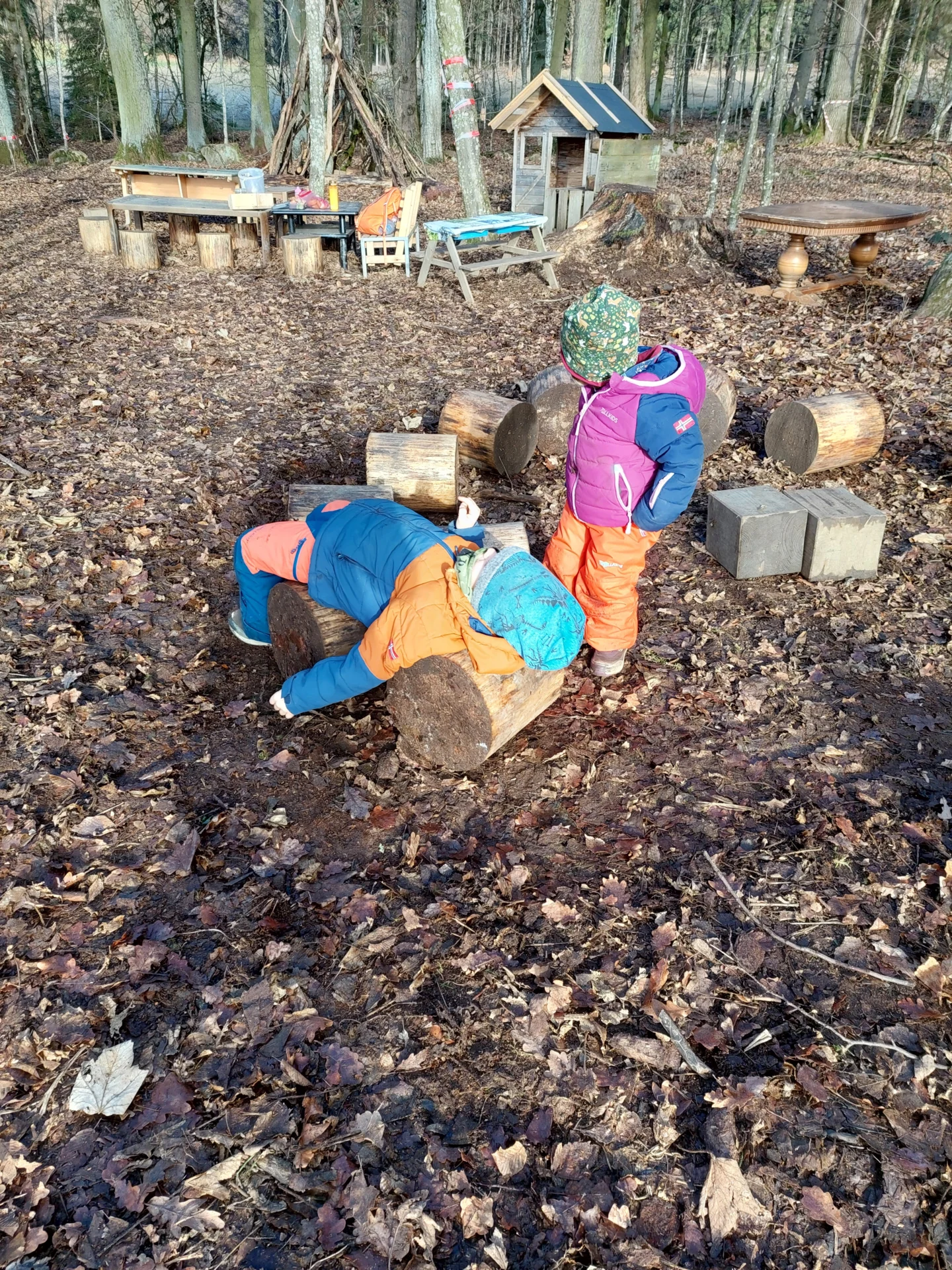Foto der Galerie: Eindrücke aus dem Waldkindergartenjahr 2025/26